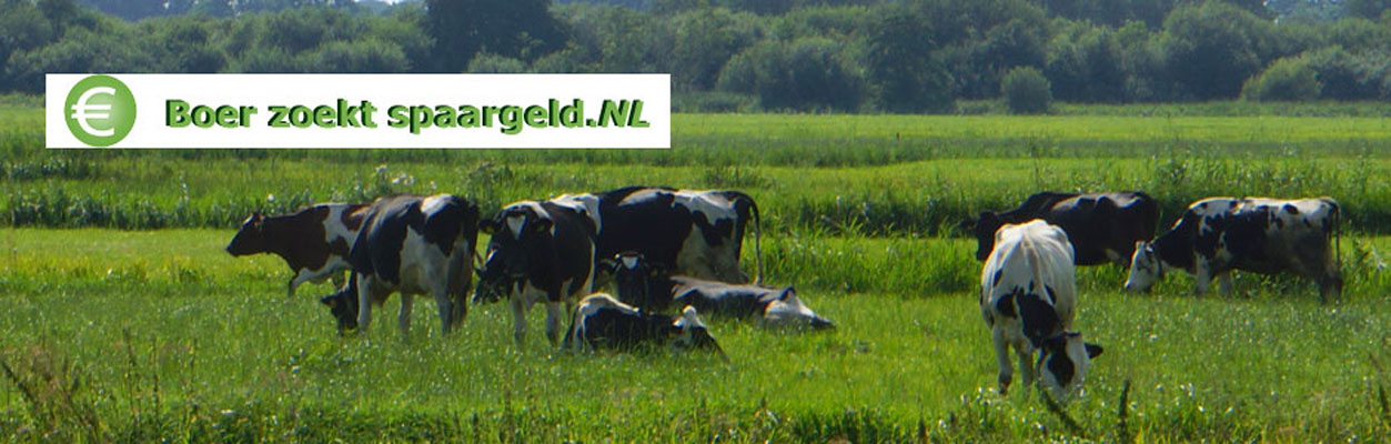 Boerzoekspaargeld 2