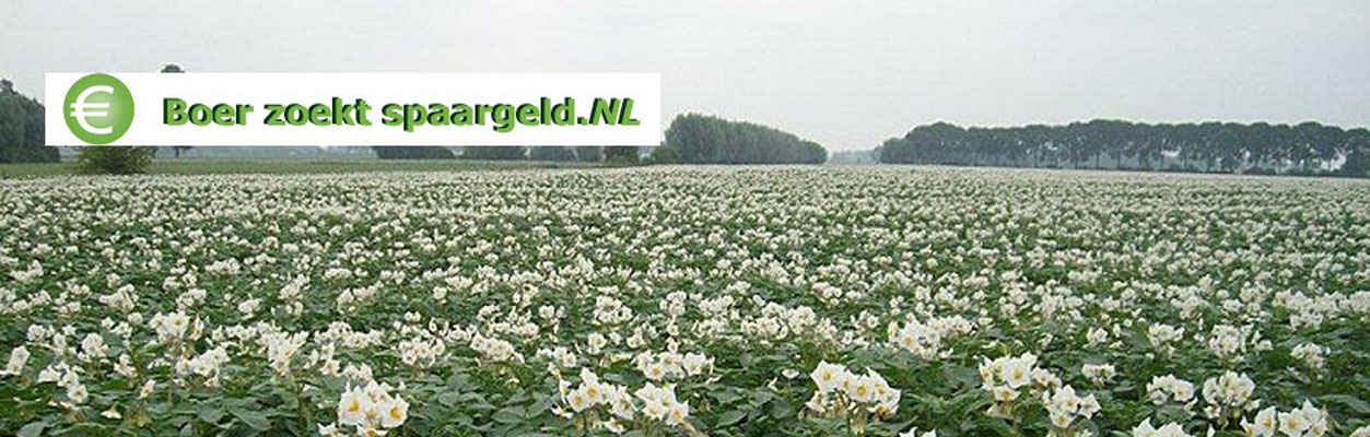 boerzoekspaargeld 7